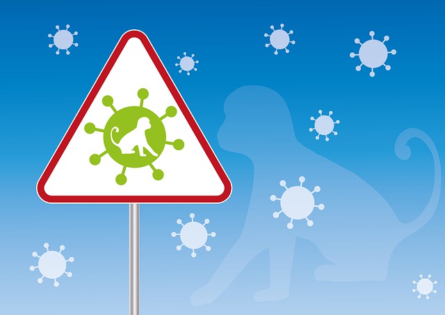 Monkeypox: a viral zoonotic disease